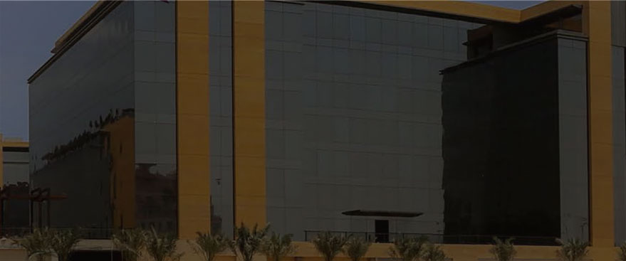 Video Placeholder
